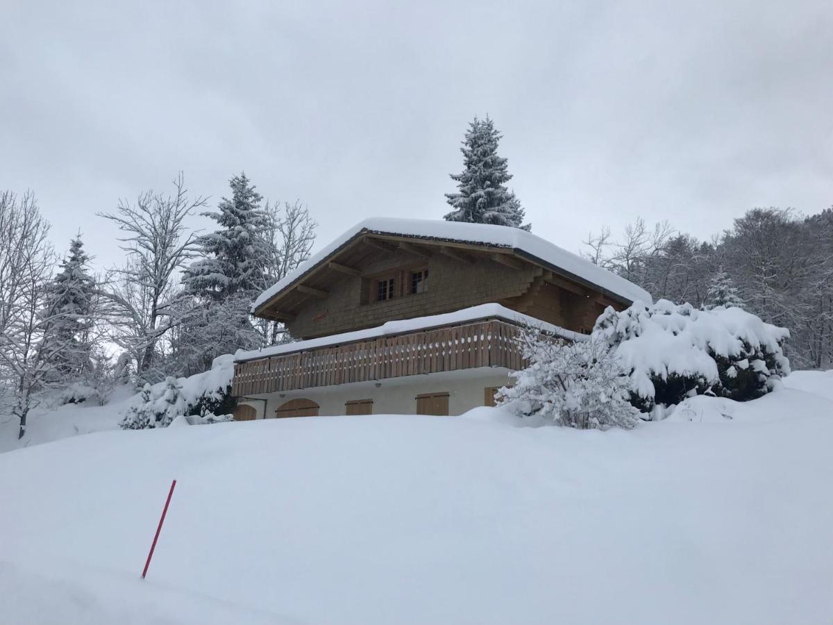 Chalet Les Marmottes Saint-Jean-de-Sixt Eksteriør billede
